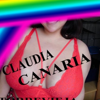 Novedad canaria gordita, Torrevieja