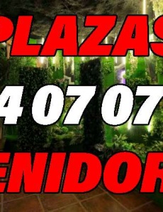 Plaza gran rendimiento pension completa