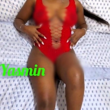 Elche novedad soy yasmin, Elche
