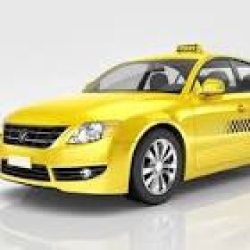 Taxi y seguridad, Elche