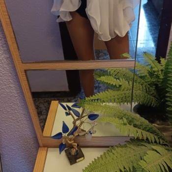 Feliz domingo, Crevillente
