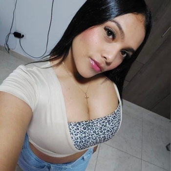Samantha latina, Elche