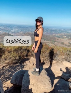 Novedad