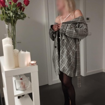 Paloma madurita elegante, Alicante