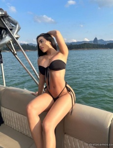 Novedad