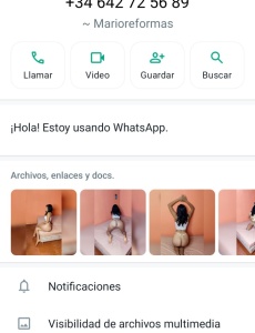 24 hs