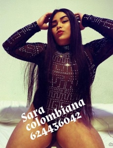 Sarita 25