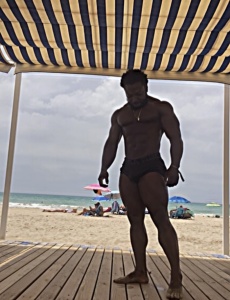 Moreno nuevo full cañero lechero