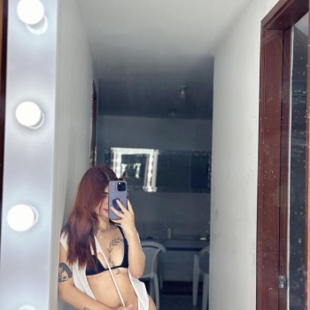 Hannah latina, Alicante