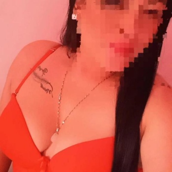 Karol hermosa pelinegra, Elche