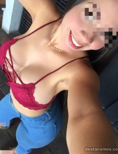 Novedad