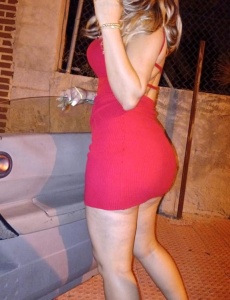 Ximena tu mejor compañía