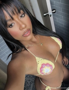 Hola mis