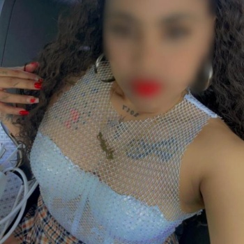 Encantadora hermosa colombiana, Elche