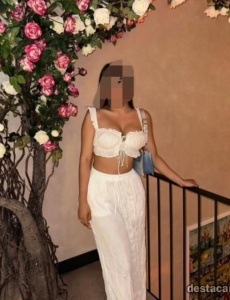 Tu compañía perfecta