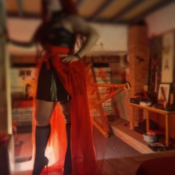 Ama busca, Alicante