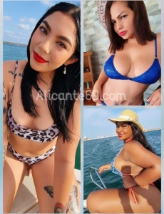 3 zorras latinas en torreviej...