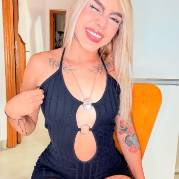 Linda latina, Alicante