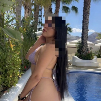 Novedad exquisita morena, Alicante