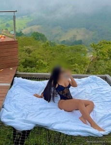 Paola latina