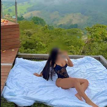 Paola latina, Elche