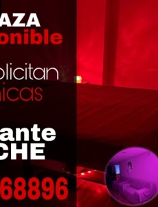 Plaza disponible en elche