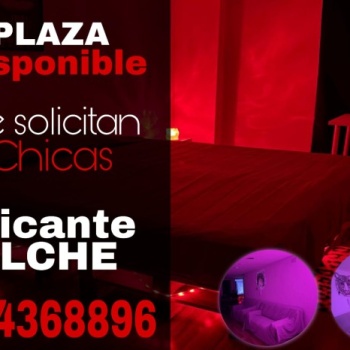 Plaza disponible en elche, Alicante