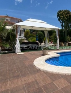 Excelente plaza en alicante, lolas!
