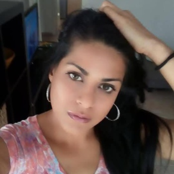Kamila sort, Alicante