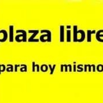 Piso benicarlo. Les desea felices y proxino an̈o, Alicante
