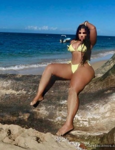 Perlita