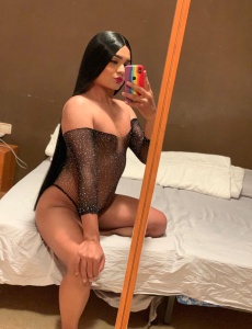 TRANS MUY COMPLETA